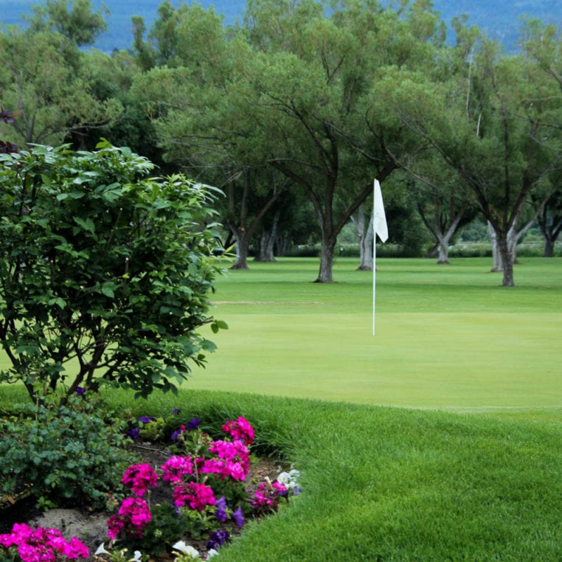 Michaelbrook Golf • More Than Just a Golf Course • Kelowna, BC